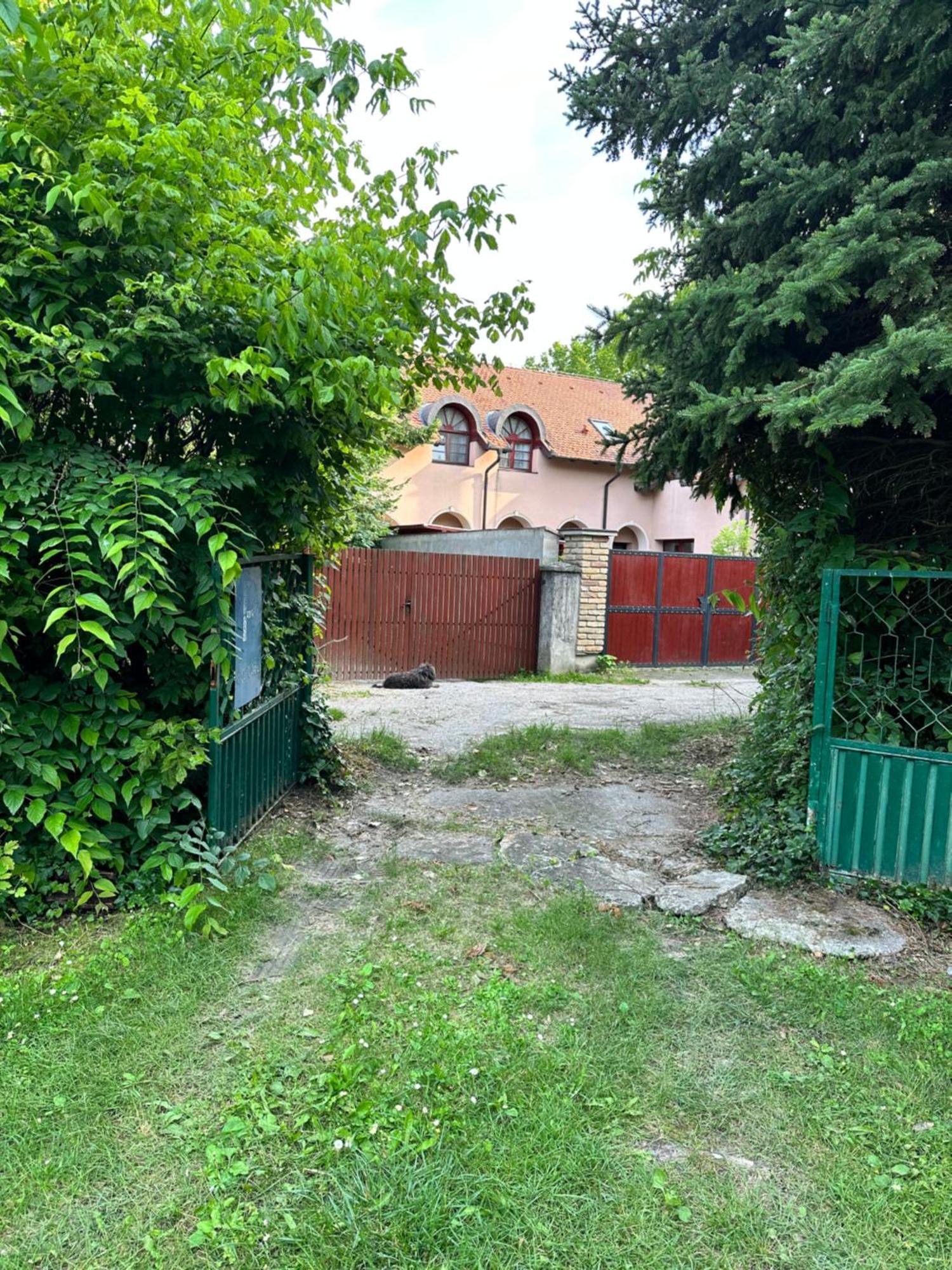 Vila Regina Palić Δωμάτιο φωτογραφία